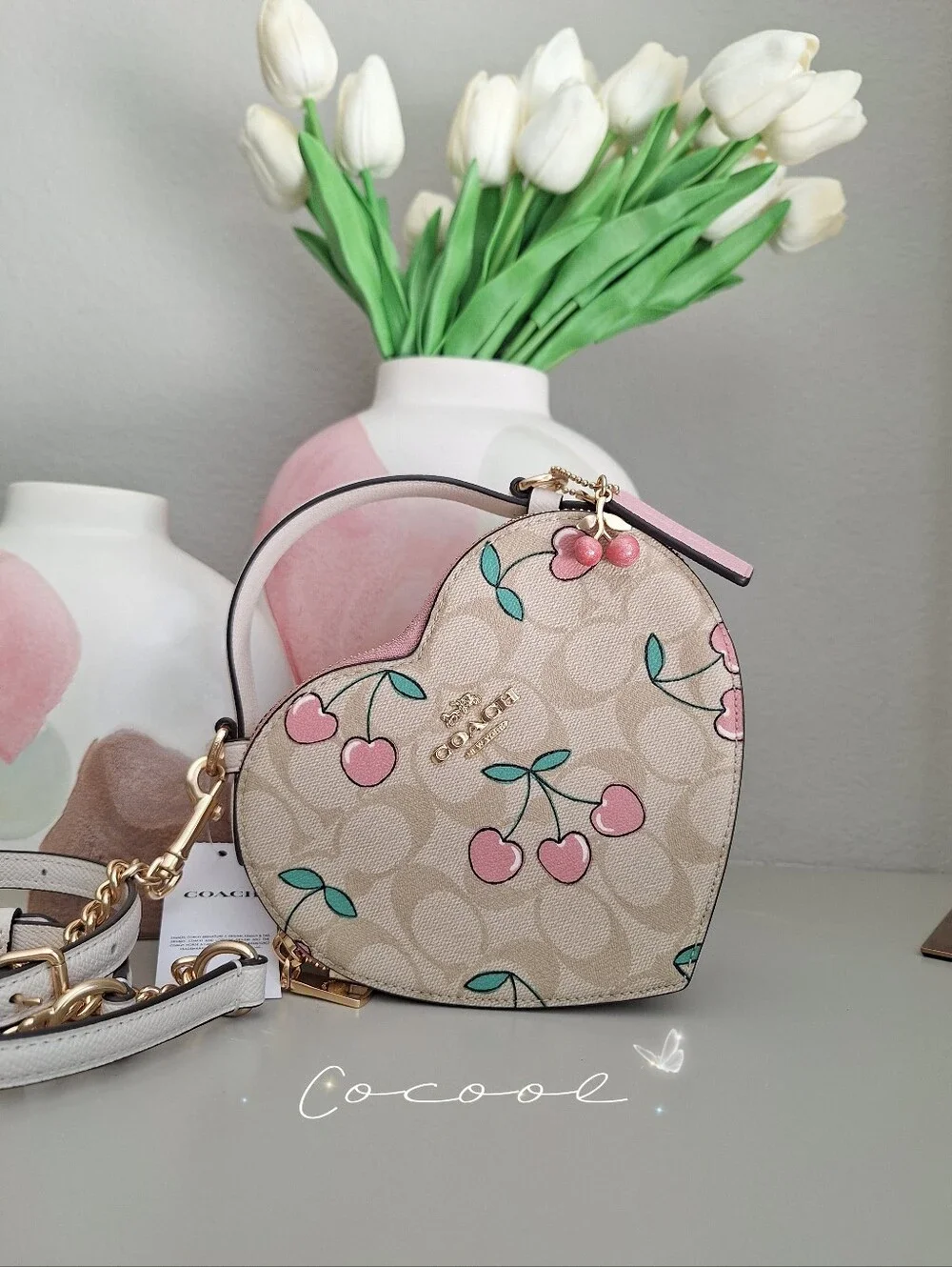 NEW COACH Heart Crossbody In Signature Canvas With Heart Cherry Print CE653